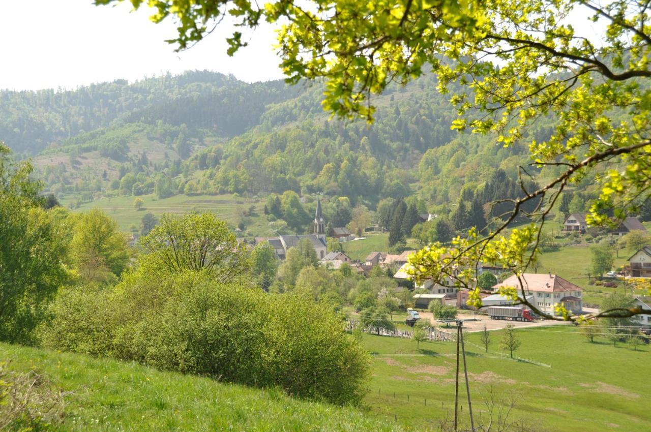 Appartement A Mitzach Dış mekan fotoğraf